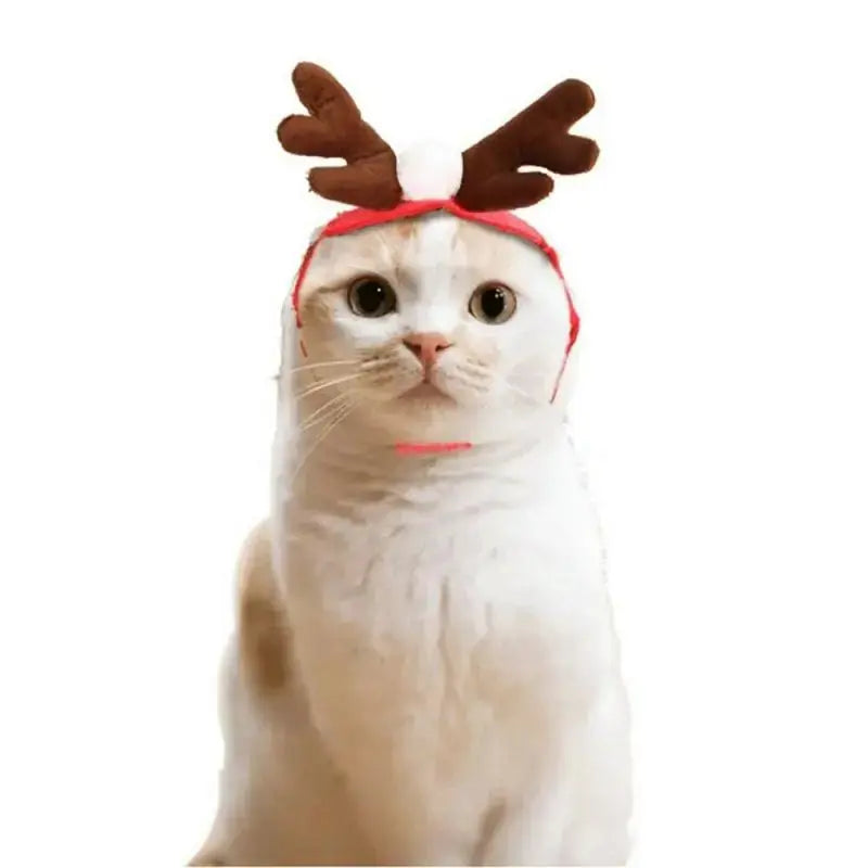 Pet Christmas Clothes Rieworkes