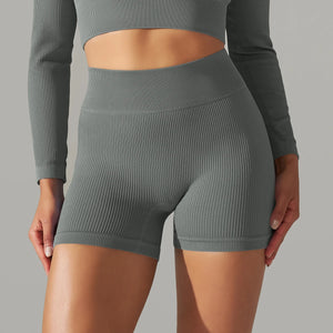 Seamless High Waist Yoga Gym Shorts Rieworkes