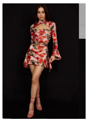 Dress Rieworkes