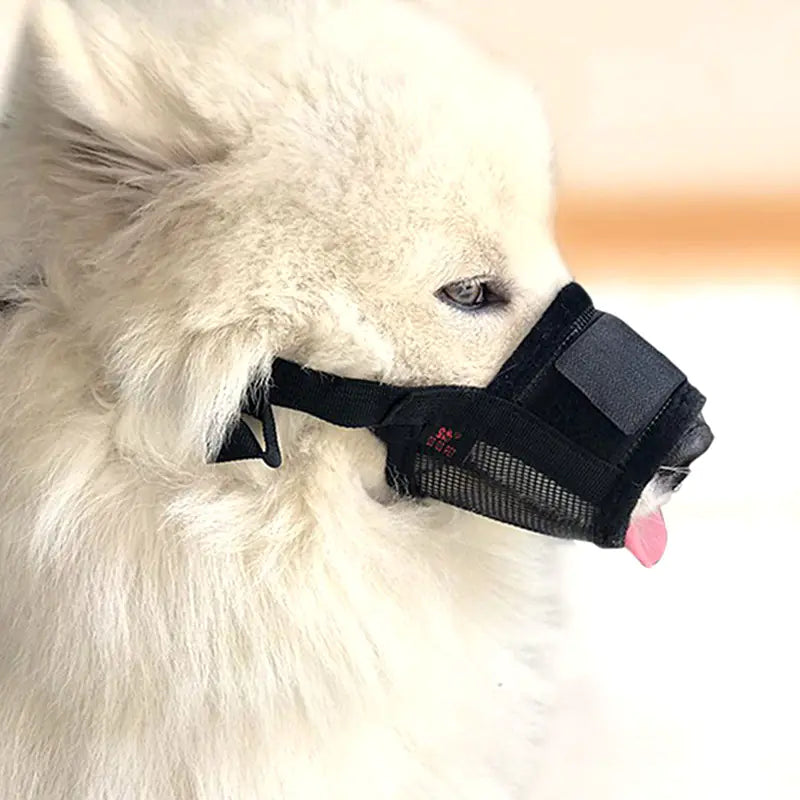 Dog Bite-Proof Mouthpiece and Furniture Protective Cover Mimarta