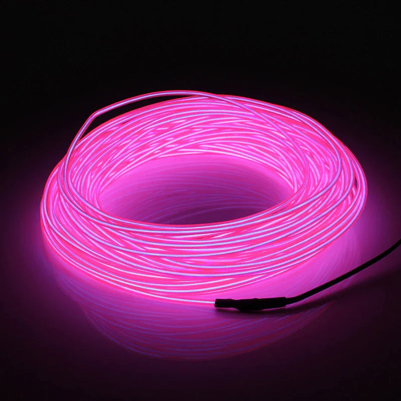Neon LED Light Glow EL Wire String Strip Rope Tube Decor Car Party + Controller Rieworkes