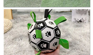 Dog Football Toys Rieworkes