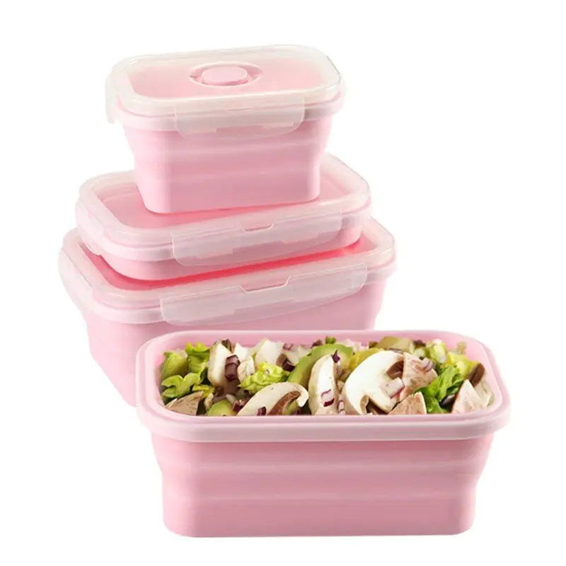 Pack & Go Collapsible Lunch Box Rieworkes