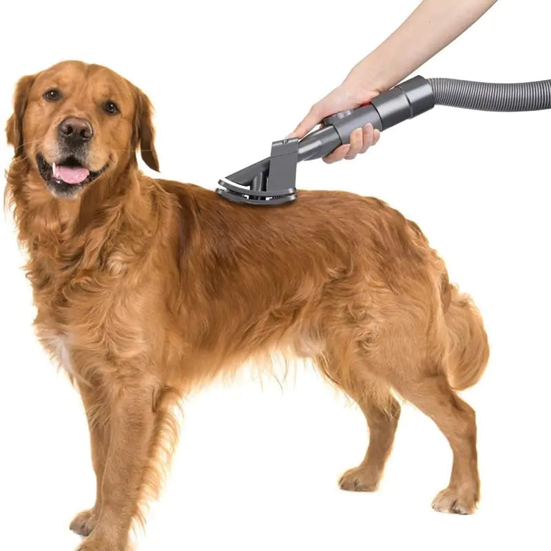 Pet Bed Brush Vacuum Attachment Rieworkes