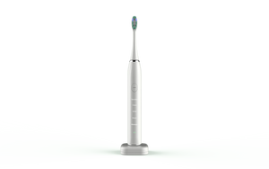 Smart Sonic Dental Care Toothbrush With 8 Brush Heads Rieworkes