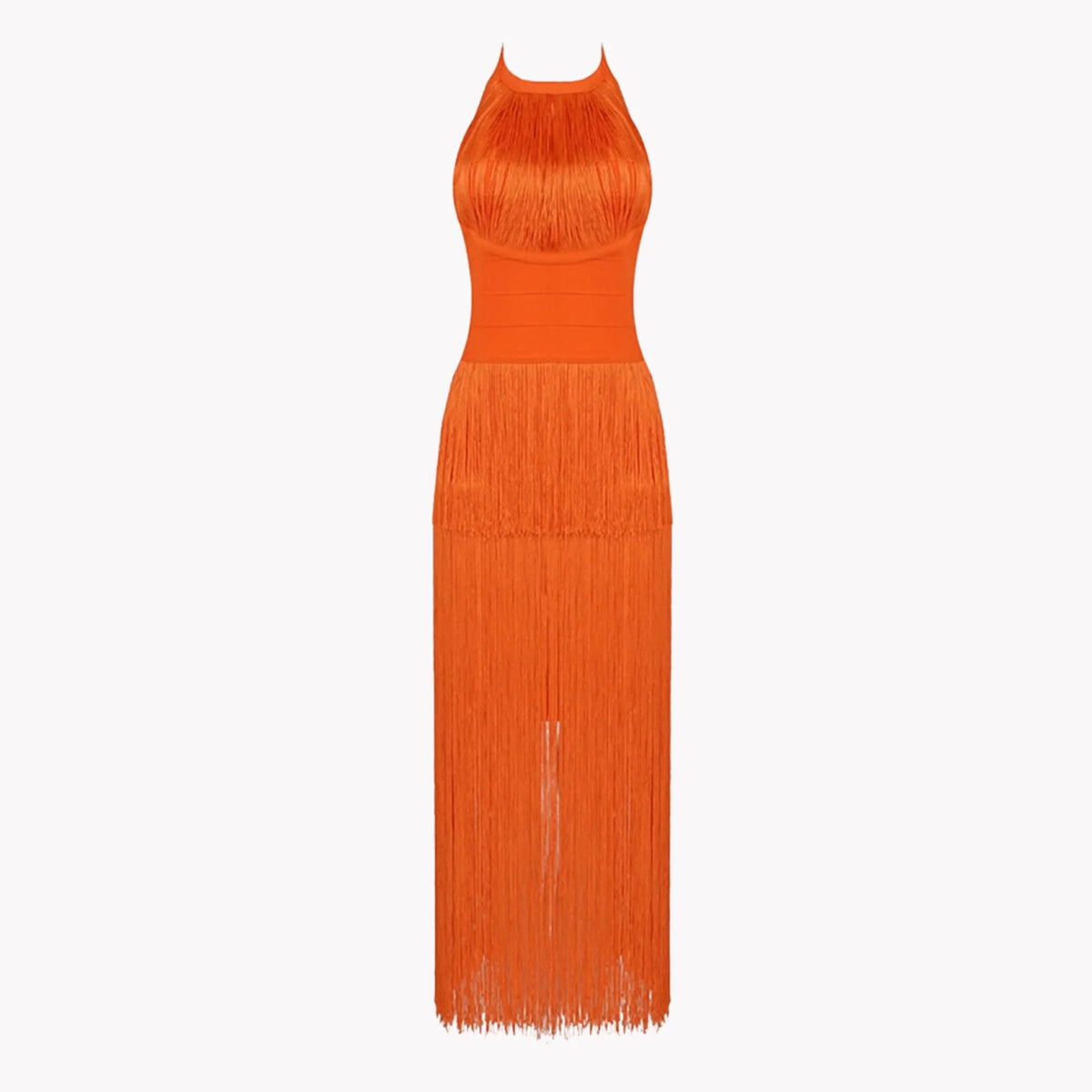 Fringe  Halterneck Backless Dress Rieworkes