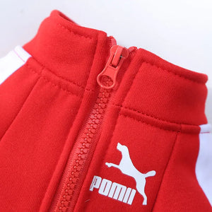 Winter Luxury Pet Dog Clothes Rieworkes