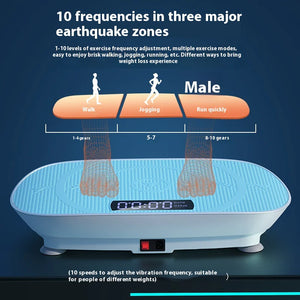Smart Vibration Plate Rieworkes