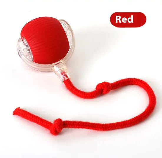Interactive Cat Toy Ball Super Drive Cat Rolling Balls With Bird Chirping Motion Activated Sensor Pets Kitten Teaser Game Toys Pet Products Rieworkes