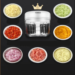Quick Chop Powered Herbs,Veggie Chopper And Salsa Maker Rieworkes