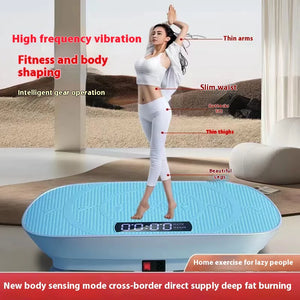 Smart Vibration Plate Rieworkes