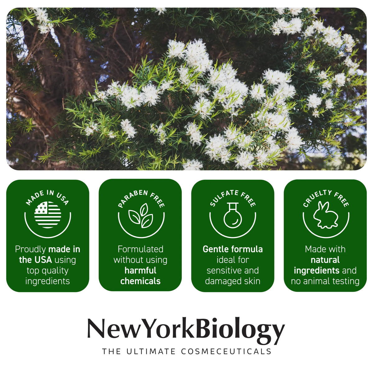 New York Biology Tea Tree Oil Foot Cream for Dry Cracked Feet, Athletes Foot, Nail Fungus, Jock Itch, Ringworm, Cracked Heels and Itchy Skin - Foot Cream - 8 oz Tea Tree - 8.00 Ounce (Pack of 1) 8.00 Ounce (Pack of 1) Rieworkes