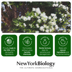 New York Biology Tea Tree Oil Foot Cream for Dry Cracked Feet, Athletes Foot, Nail Fungus, Jock Itch, Ringworm, Cracked Heels and Itchy Skin - Foot Cream - 8 oz Tea Tree - 8.00 Ounce (Pack of 1) 8.00 Ounce (Pack of 1) Rieworkes