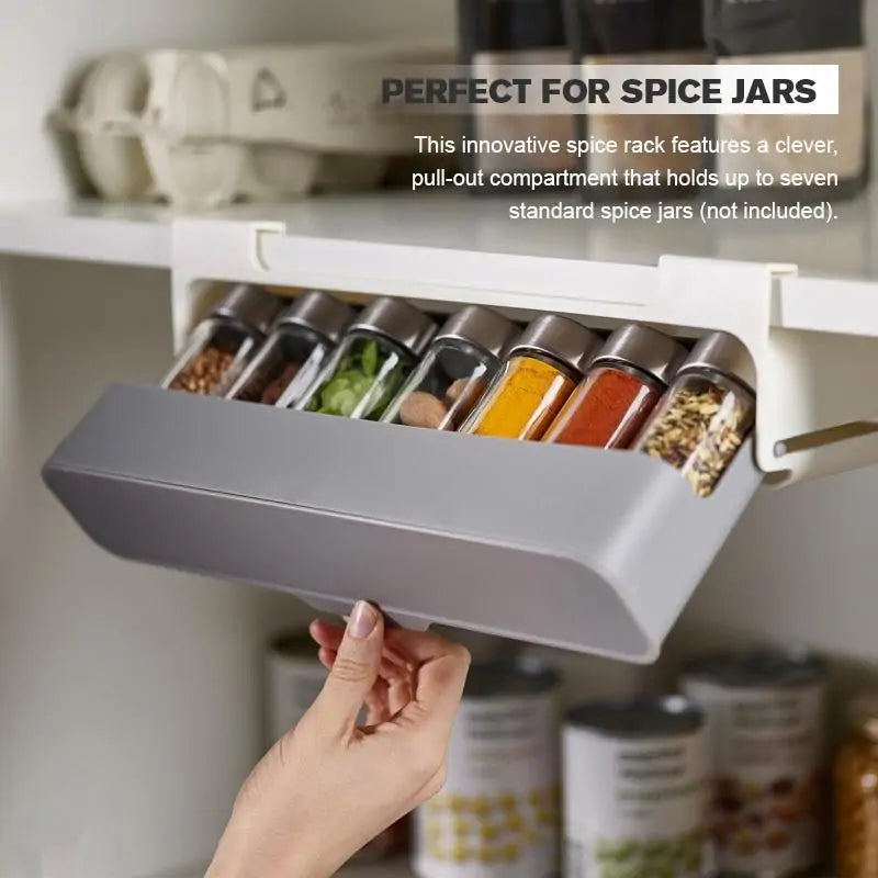 Kitchen Self-Adhesive Wall-Mounted Spice Organizer Rieworkes