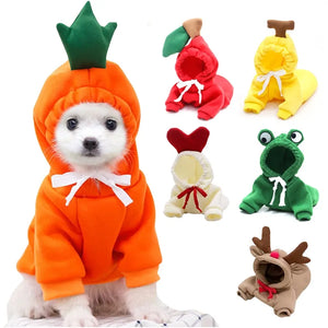 Warm Dog Winter Clothes Cute Fruit Dog Rieworkes