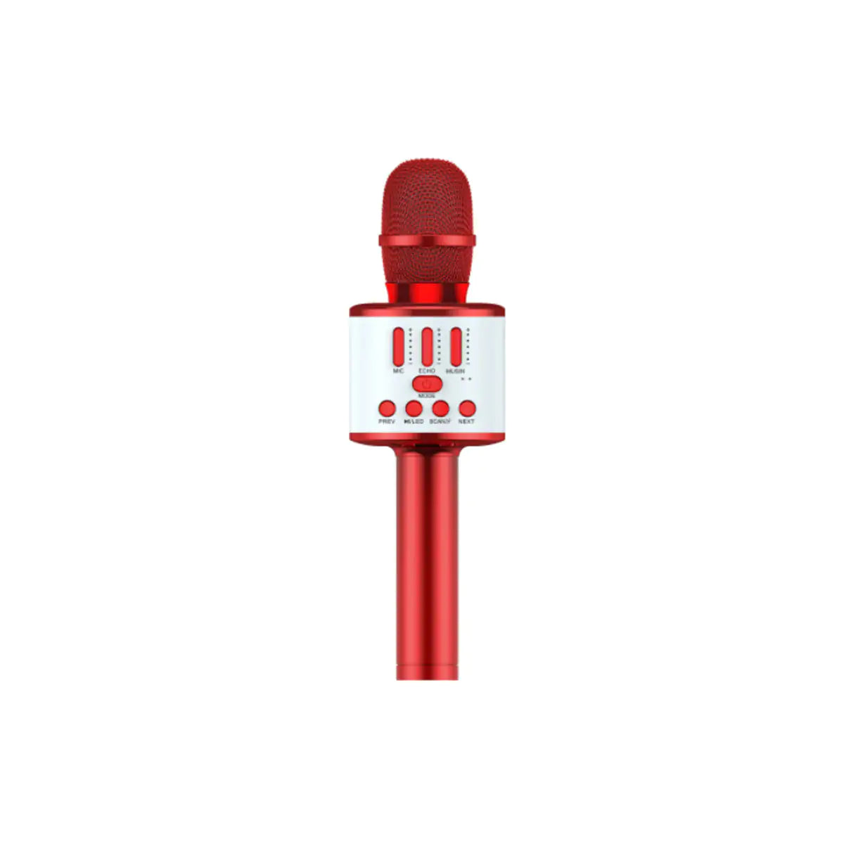 Karaoke Party Microphone With Bluetooth Rieworkes