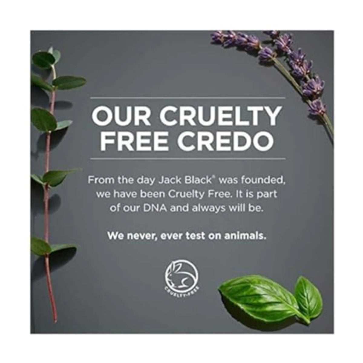Jack Black Face Buff Energizing Scrub, 6 Fl Oz – Vitamin C & Mint – Deep Cleaning Pre-Shave Cleanser, Men’s Facial Scrub, Remove Oil, Dirt & Dead Skin, Men’s Cleanser, Hydrating Skincare 6 Fl Oz (Pack of 1) Rieworkes