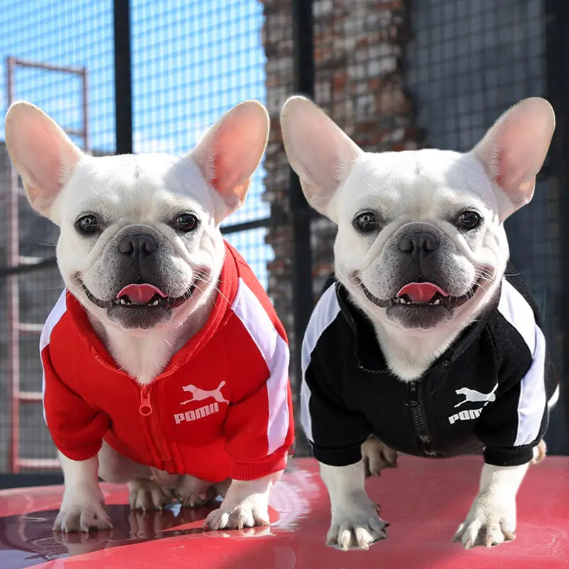 Winter Luxury Pet Dog Clothes Rieworkes