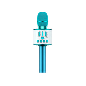 Karaoke Party Microphone With Bluetooth Rieworkes
