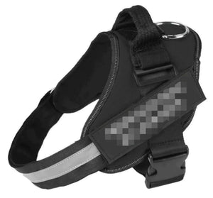 Safety Dog Harness Rieworkes
