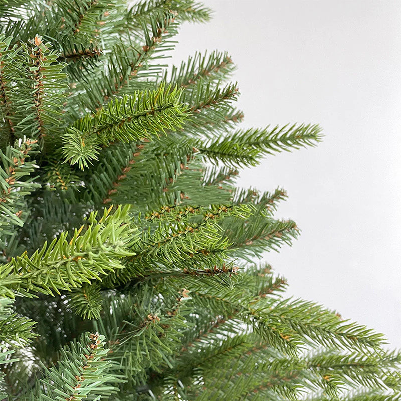 Fir Christmas Tree Rieworkes