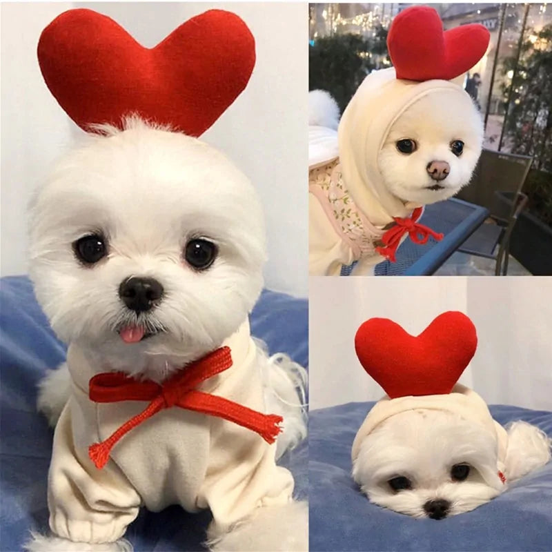 Warm Dog Winter Clothes Cute Fruit Dog Rieworkes