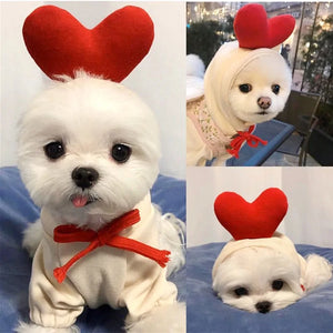 Warm Dog Winter Clothes Cute Fruit Dog Rieworkes