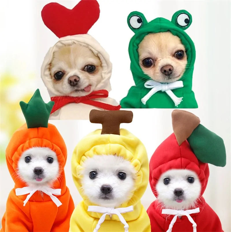 Warm Dog Winter Clothes Cute Fruit Dog Rieworkes