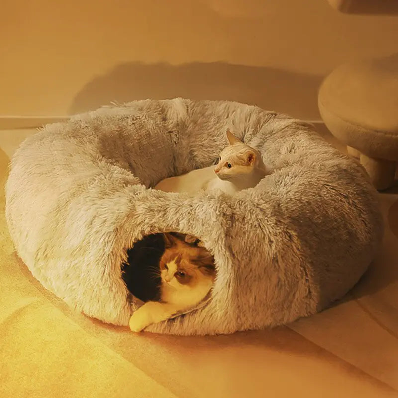 Cat Beds House Rieworkes