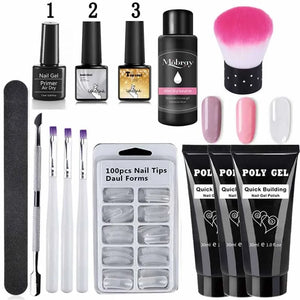French Nail Art Poly Gel Kit with UV Brush and Nail Tips Rieworkes