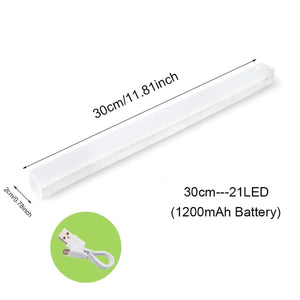 Motion Sensor Light Cabinet Lighting Kit Rieworkes