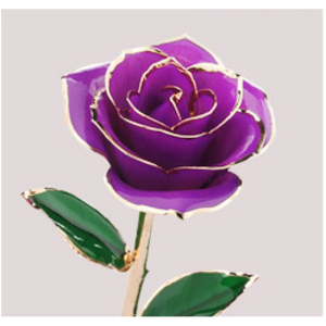 Gold-Plated 24K Rose Rieworkes