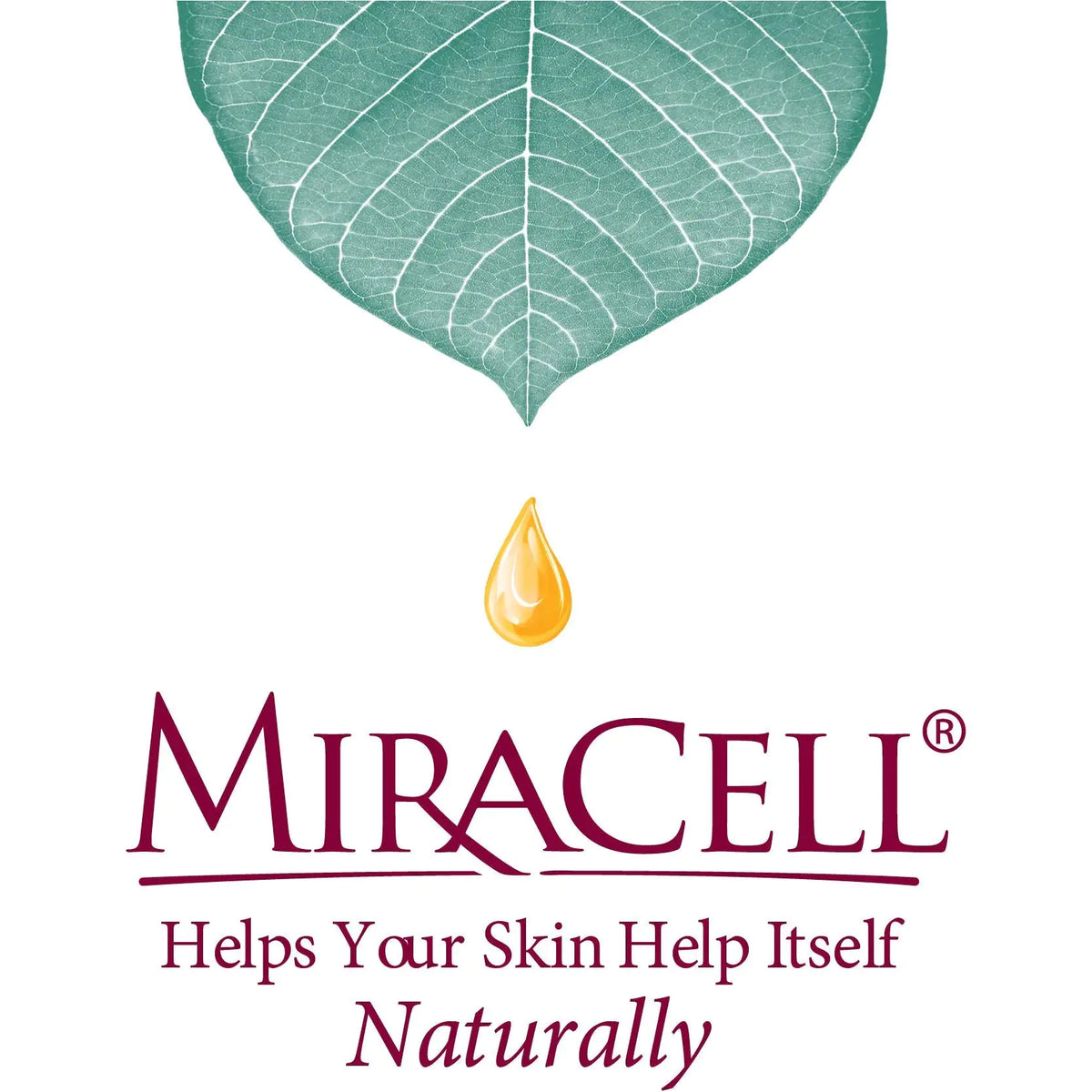 Miracell ProEar, Ear Drops for Itchy Ears, Clogged Ears, Irritated Ears, Dry Ears. All Natural Ear Oil for, Babies, Kids, Adults, and Dogs 0.5oz Rieworkes
