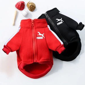 Winter Luxury Pet Dog Clothes Rieworkes