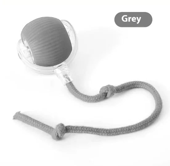 Interactive Cat Toy Ball Super Drive Cat Rolling Balls With Bird Chirping Motion Activated Sensor Pets Kitten Teaser Game Toys Pet Products Rieworkes