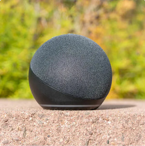 Smart English Learning Wi-Fi Speaker Rieworkes