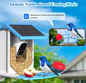 Solar Bird Feeder With Camera Rieworkes