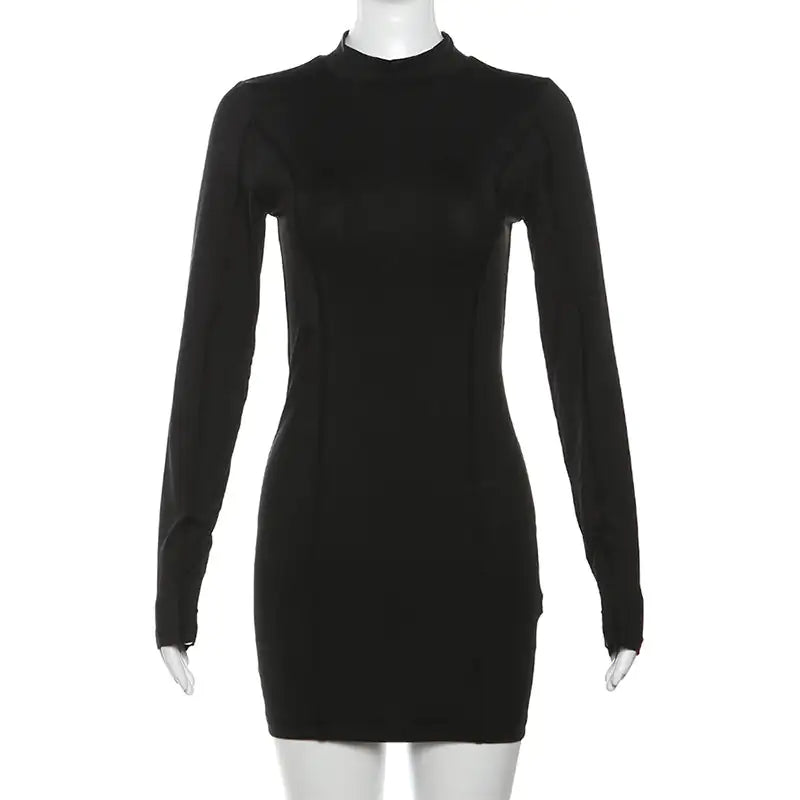 Long Sleeve Mini Dress Rieworkes