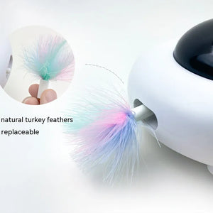 cat toy Rieworkes