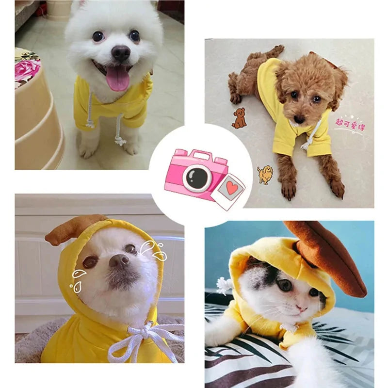 Warm Dog Winter Clothes Cute Fruit Dog Rieworkes