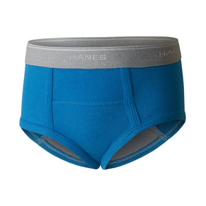 Hanes boys Potty Trainer Underwear 6-Pack 4T Briefs - Blue/Print Assorted - 6 Pack Rieworkes