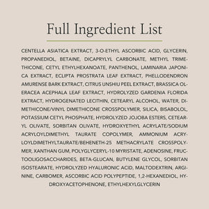 Beauty of Joseon Light On Serum Vitamin C Centella Dark Spot Fine Lines Pigmentation Correcting Serum, Hydrating Moisturizer, Korean Skin Care for Men and Women, 30ml, 1 fl.oz Rieworkes