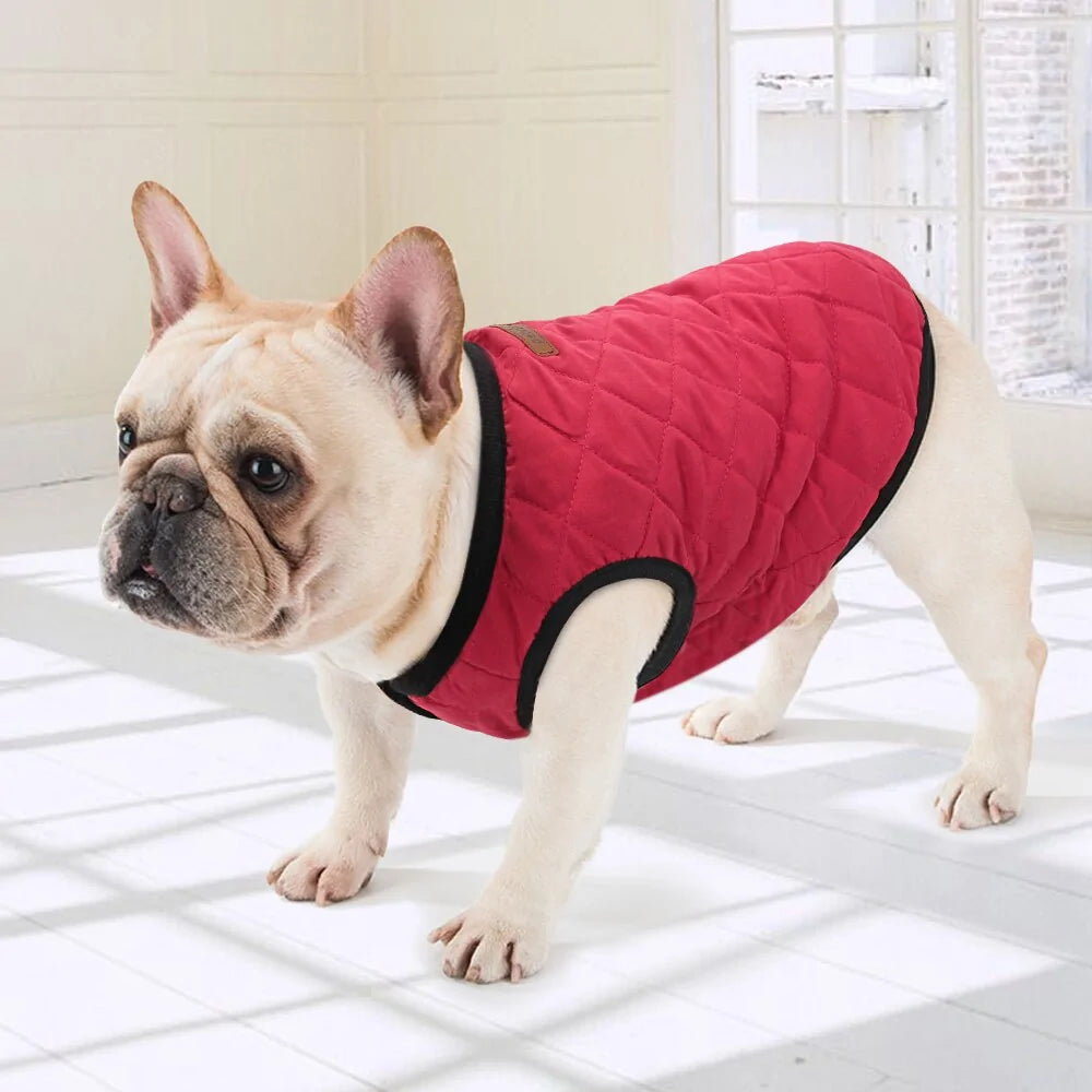Dog Winter Jacket Rieworkes