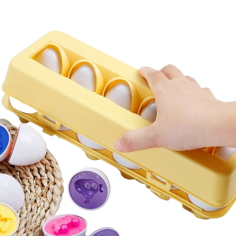Sorting Puzzle for Kid Baby Toddler Rieworkes