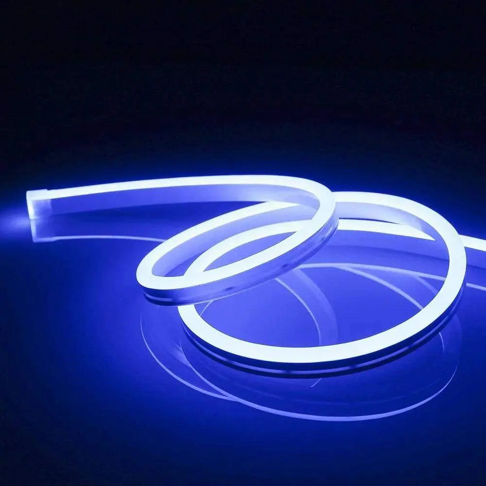 1M 2M 3M 5M 12V Flexible Sign Neon Lights Silicone Tube LED Strip Waterproof USA Rieworkes