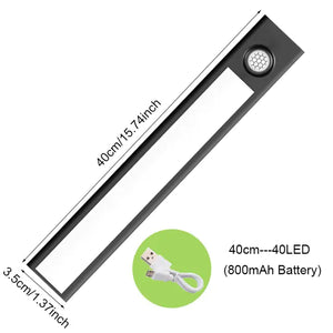 Motion Sensor Light Cabinet Lighting Kit Rieworkes