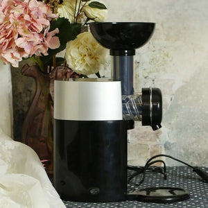 Fruit To Dessert Machine Rieworkes