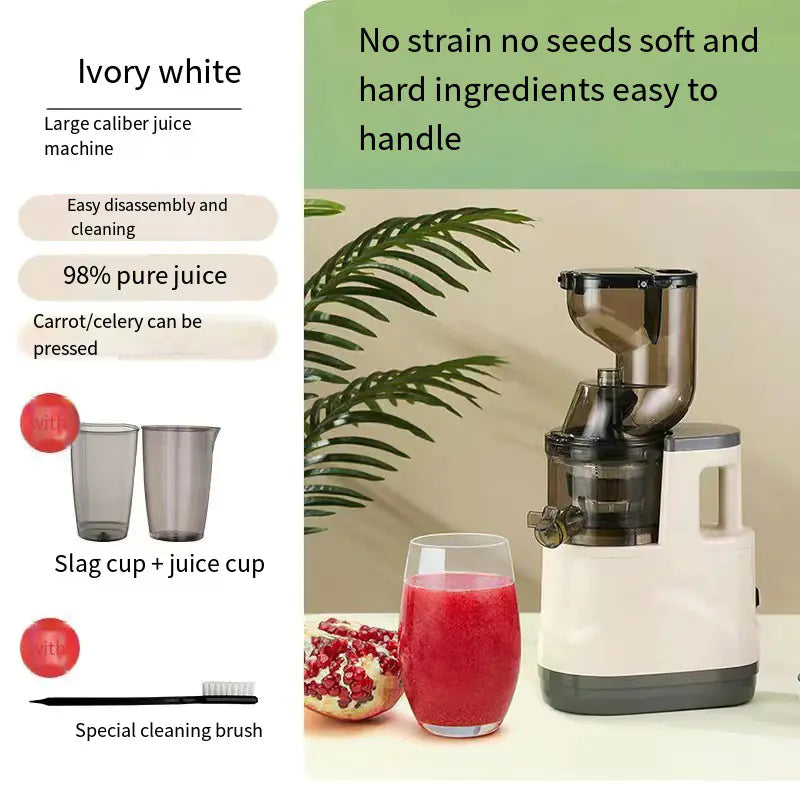 Automatic High Extraction Juice Machine for Home Use Rieworkes