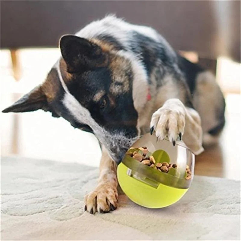 Interactive Cat Toy IQ Treat Ball Smarter Rieworkes