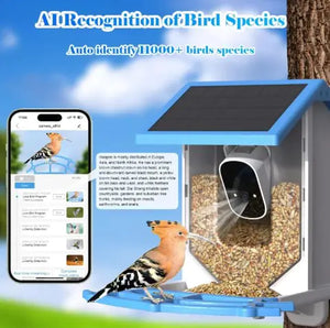Solar Bird Feeder With Camera Rieworkes